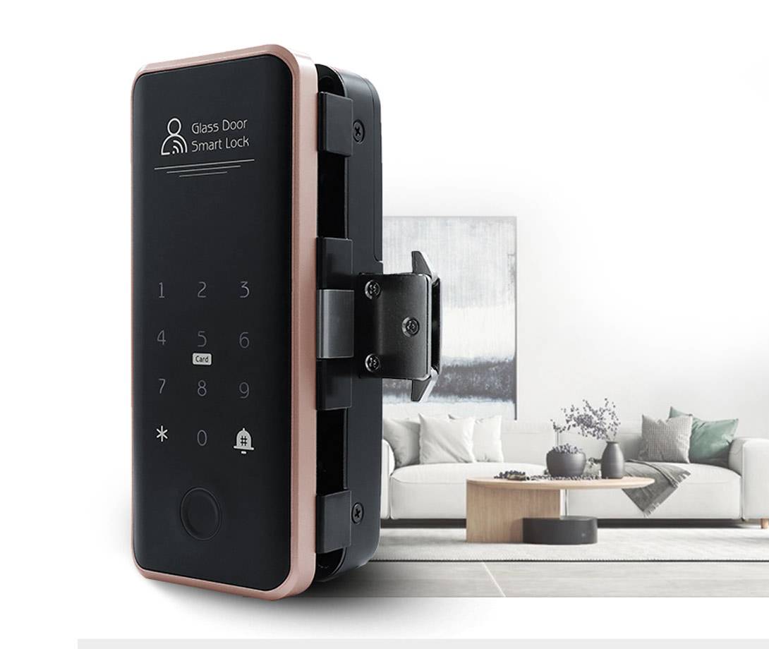 Smart Door Lock D3