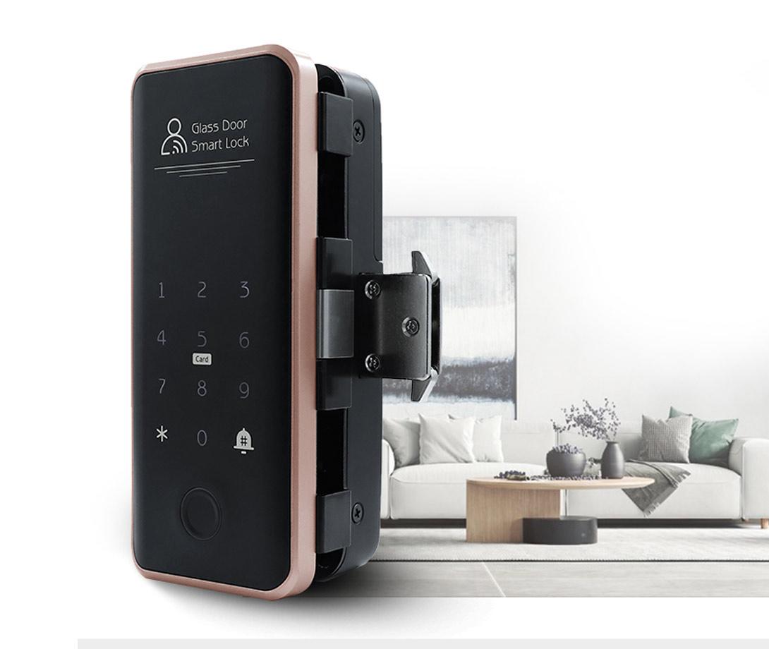 Smart Door Lock D3